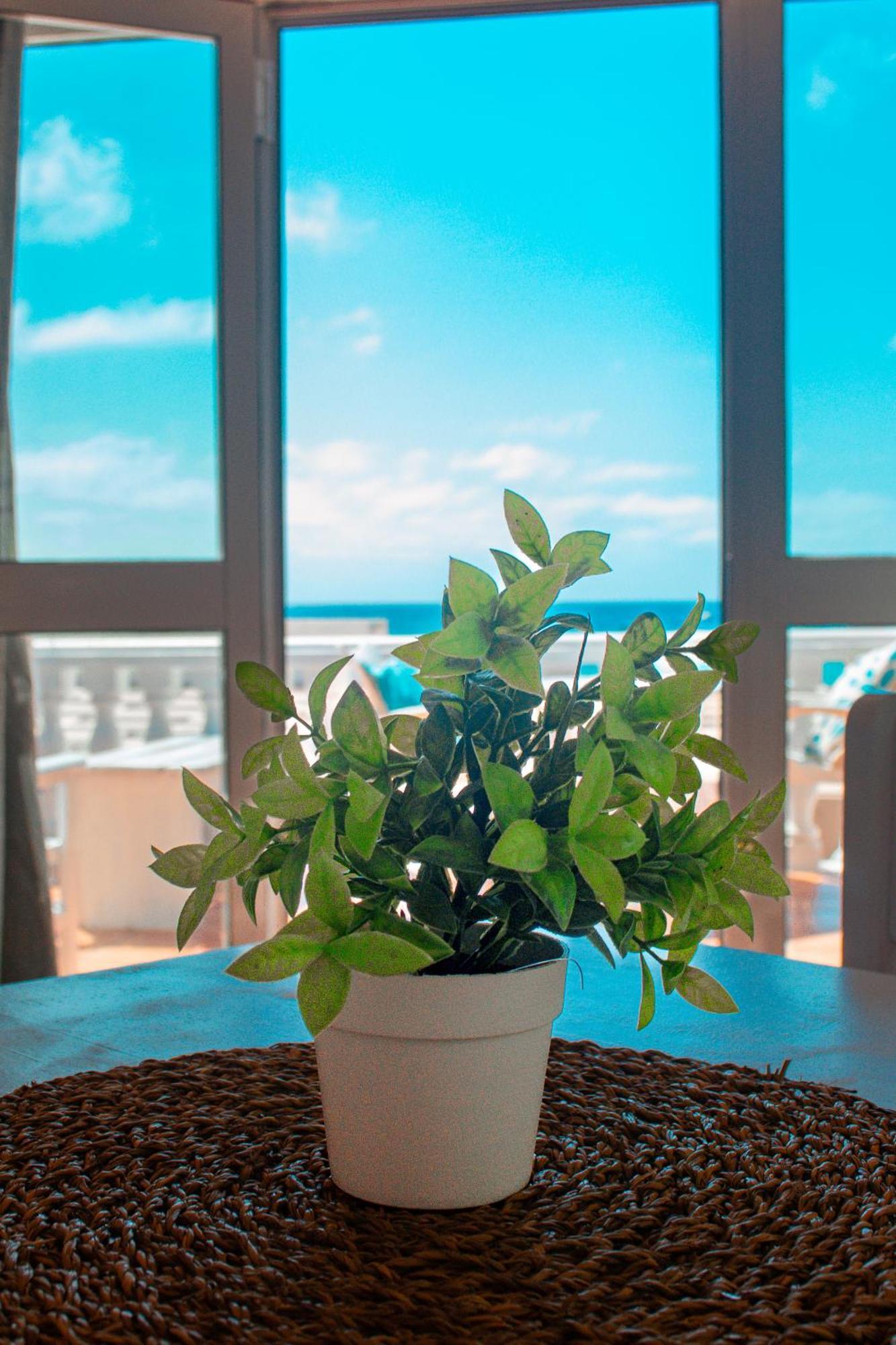 Vista Mar - Seafront Holiday Apartments Santa Maria Buitenkant foto